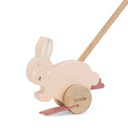 Trixie Wooden Push Along Toy - Mr. Rabbit -1.jpg