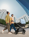 Bugaboo | Dragonfly Bassinet Complete