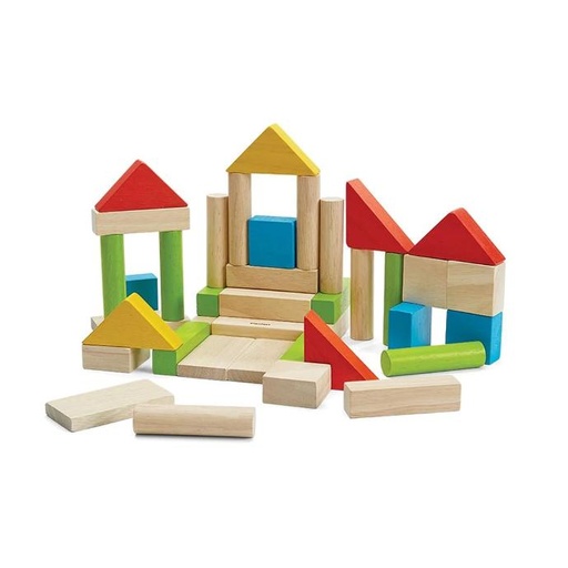 [5513] Plan Toys | Colourful 40 Unit Blocks